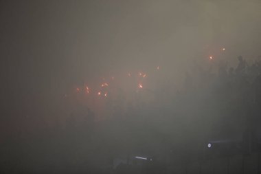 Paulo - 21 Ocak 2024: So Paulo karnavalının samba okulları Pazar gecesi Sambadrome 'da teknik prova yaptılar (21 Ocak)).