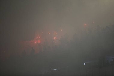 Paulo - 21 Ocak 2024: So Paulo karnavalının samba okulları Pazar gecesi Sambadrome 'da teknik prova yaptılar (21 Ocak)).