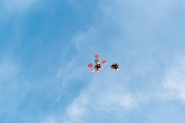 Bekarlığa veda partisinde gökyüzündeki balonlar. Düğün gelenekleri. 