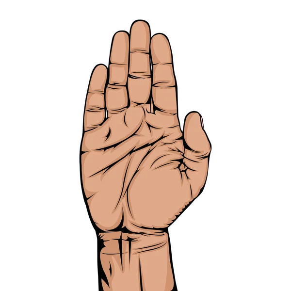 Mão Aberta Gesto Mão Mãos Masculinas Palma Mão Levanta Mão —  Vetores de Stock