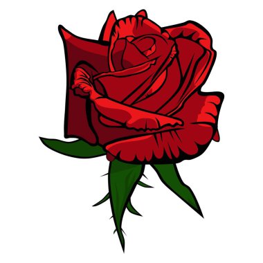 Beyaz arka planda güzel kırmızı güllerin vektör çizimi. Grafik değeri. Dekoratif çizim. Çiçek illüstrasyonu.