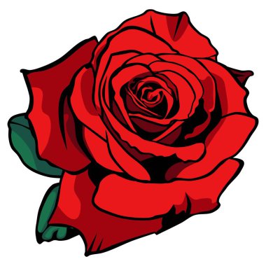 Beyaz arka planda güzel kırmızı güllerin vektör çizimi. Grafik değeri. Dekoratif çizim. Çiçek illüstrasyonu.