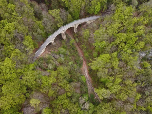 Areial Uitzicht Een Oude Hangbrug Het Bos Duitsland Hoge Kwaliteit — Stockfoto