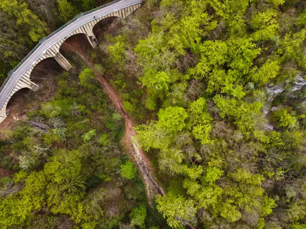 Areial Uitzicht Een Oude Hangbrug Het Bos Duitsland Hoge Kwaliteit — Stockfoto