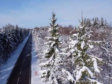 Kış manzarası, kış ormanı, kış yolu ve karla kaplı ağaçlar, Almanya, panoramik çekim. Yüksek kalite fotoğraf. Kar örtüsü içinde yol