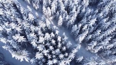Kış mevsimi karlı dağ ormanları havadan çekilen nefes kesici doğal manzara, donmuş orman ve karanlık dağ nehri. Yüksek kaliteli FullHD görüntüler. Karlı bir ormanın üzerinde uçarken
