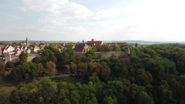 Charakteristische Luftaufnahmen Der Elsässischen Weinstraße Grüne Weinberge Vordergrund Und Eine — Stockvideo