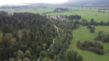 Göl manzarası Lucerne Vierwaldstattersee ve İsviçre Alpleri 'ni gösteriyor. Yüksek kaliteli FullHD görüntüler. Alman Alpleri ve gölleri üzerinde uçuyorlar. Neuschwanstein Kalesi