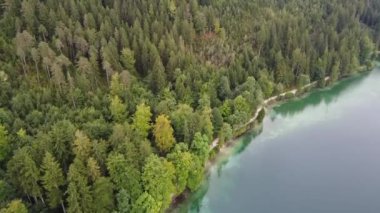 Göl manzarası Lucerne Vierwaldstattersee ve İsviçre Alpleri 'ni gösteriyor. Yüksek kaliteli FullHD görüntüler. Alman Alpleri ve gölleri üzerinde uçuyorlar. Neuschwanstein Kalesi