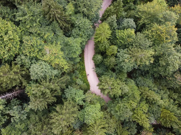 Вид Зверху Темно Зелений Ліс Пейзаж Шпалер Мистецтва Повітряна Природа — стокове фото