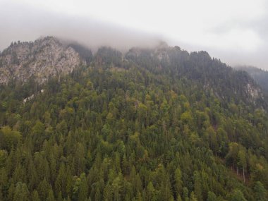 Almanya 'daki yüksek dağlardan görülen birkaç dağ tabakası hafif sis ile muhteşemdir. Yüksek kaliteli fotoğraf. Bavyera Alp dağlarının sisli ve ağaçlı göl manzaralı görüntüsü.