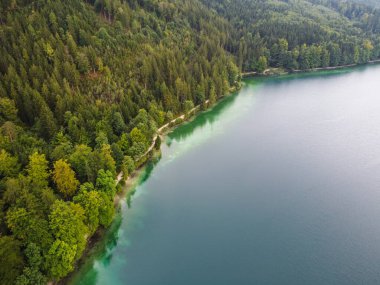 Alp gölünün muhteşem manzarası kristal berrak yeşil su ve mükemmel mavi gökyüzü. Zell am See 'deki Zeller Gölü ile Alpler' deki güzel dağ manzarasının panoramik görüntüsü. Yüksek kalite fotoğraf