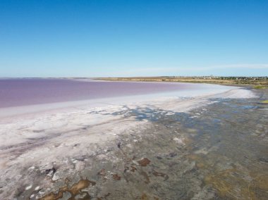 Ukrayna 'nın Kherson bölgesindeki pembe tuzlu Syvash Gölü manzarası. Yüksek kalite fotoğraf