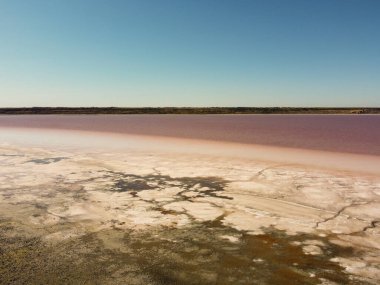 Ukrayna 'nın Kherson bölgesindeki pembe tuzlu Syvash Gölü manzarası. Yüksek kalite fotoğraf