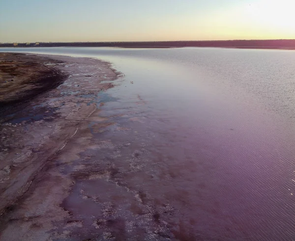 Vue Sur Lac Rose Salé Syvash Dans Région Kherson Ukraine — Photo