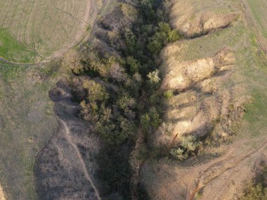 Ukrayna 'nın Kherson bölgesindeki pembe tuzlu Syvash Gölü manzarası. Yüksek kalite fotoğraf