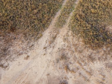 yemyeşil bitki örtüsü ve zengin, kırmızımsı kahverengi kilden oluşan bir arazide dolambaçlı bir kırsal yol. Yol ağaçlar ve yeşilliklerle kaplıdır. Aşağıdaki gölgeler karalanır.. 