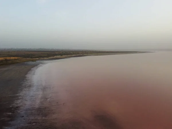 Vue Sur Lac Rose Salé Syvash Dans Région Kherson Ukraine — Photo