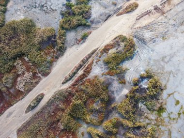 Bataklıktaki toprak kase yolunun en üst manzarası. Parlak ağaçları ve gölü olan sonbahar ormanları arasında. Kuzeydeki manzaranın soyut havadan çekilmiş fotoğrafı. Su birikintisi ve off road. Yüksek kalite fotoğraf