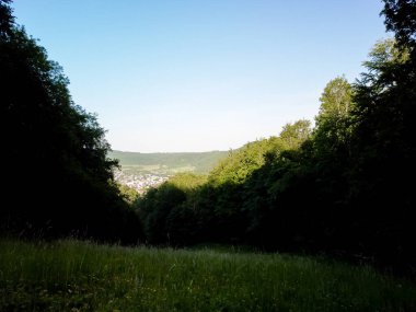 Gökyüzü manzaralı orman ağacı, yağmur ormanı ekosistemi ve sağlıklı çevre konsepti ve arka plan, yukarıdan yeşil ağaç manzarası dokusu. Yüksek kalite fotoğraf