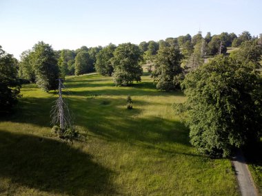 Küçük çayır, yabani bitkiler ve yaşlı ağaçlar, ana caddenin yanında, Leeds, Yorkshire, İngiltere. Yüksek kalite fotoğraf