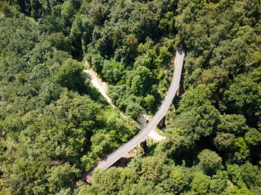 Kışın koyu yeşil orman manzarası. Çam ağaçlarının hava manzarası. Kırsal yol üzerinde kozalaklı ağaçlar var. Macera yolculuğu konsepti. Yüksek kalite fotoğraf