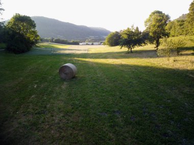 Bu fotoğraf kırsal bir arazinin ön planında yuvarlak bir saman balyasını gösteriyor. Arka planda ağaçlar ve elektrik hatları var. Fotoğrafta açık bir gökyüzü ve uzun gölgeler var.. 