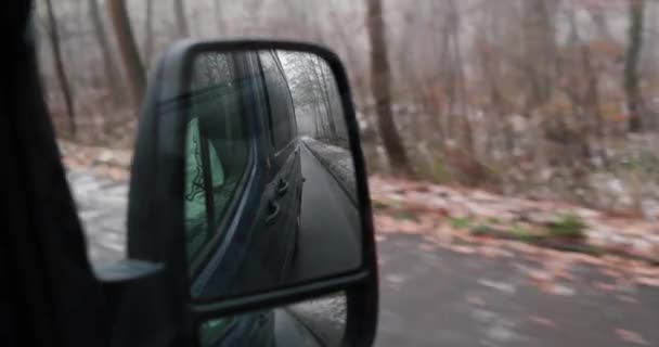 Driving Germany Dark Van Watching Rear View Mirror High Quality — Video Stock