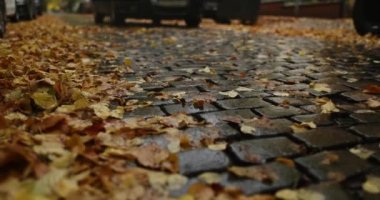 Car driving by on dark elegant brick road covered in autumn leaves. High quality 4k footage