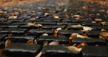 Running down a wet dark stone brick road covered in autumn leaves. High quality 4k footage