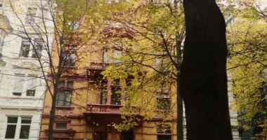 Golden Yellow autumn trees after rainy day, old german street during fall . High quality 4k footage