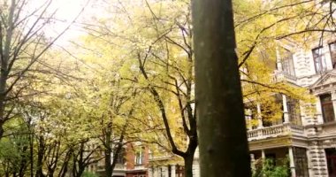 Nice residential area during bright sunny day in with trees during fall. High quality 4k footage