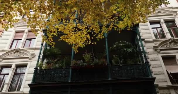 Πράσινο Μπαλκόνι Καλυμμένο Φυτά Κατά Διάρκεια Της Φθινοπωρινής Περιόδου Κατοικημένη — Αρχείο Βίντεο
