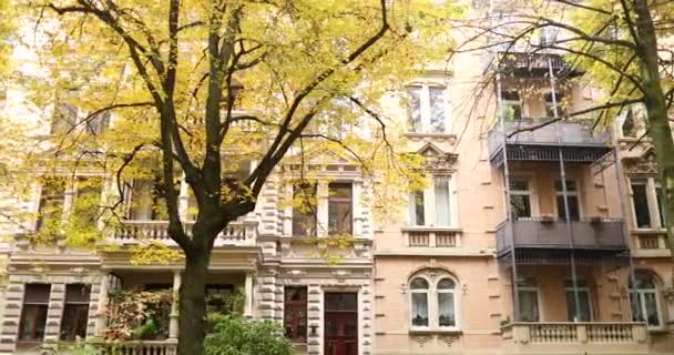 Viewing Bright Elegant Building Sunny Day Autumn Trees High Quality — Stockvideo
