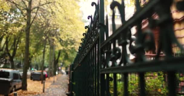 Elegant Dark Green Steel Fence Residential Area Fall Season High — Stock Video