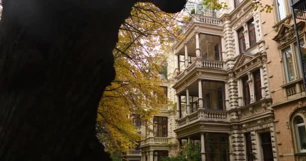Exploring Old German Residential Fall Golden Autumn Leaves High Quality — Vídeo de stock