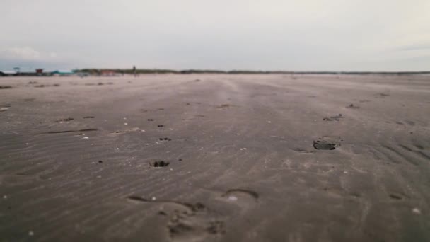 Άμμος Σαρώνει Κατά Διάρκεια Έντονου Ανέμου Υγρή Παραλία Υψηλής Ποιότητας — Αρχείο Βίντεο