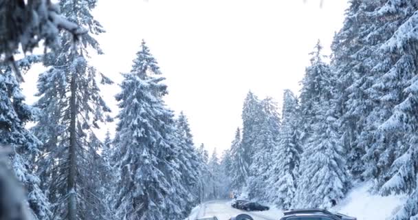 Сонячний Зимовий День Горах Німецьких Лісів Кадри Високої Якості — стокове відео