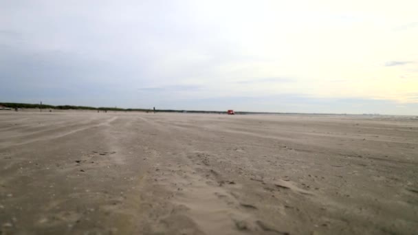 Παρατηρώντας Σάρωσε Άμμο Θυελλώδη Ημέρα Στη Γερμανική Παραλία Υψηλής Ποιότητας — Αρχείο Βίντεο
