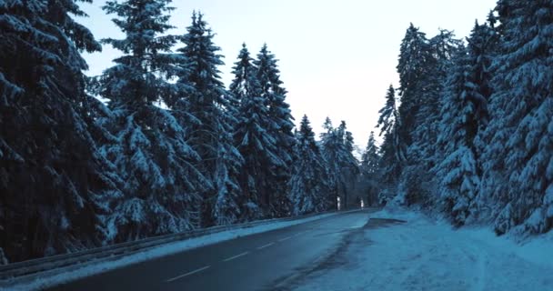 Słońce Wschodzi Linią Drzew Świeży Zimowy Poranek Górach Wysokiej Jakości — Wideo stockowe