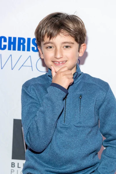 Actor Alexander Saffaie Attends Christine Wager Los Angeles Screening Los — Stock fotografie