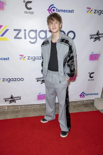 Singer Stefan Benz Adopts Kick Summer Party Presented Zigazoo Teen — 스톡 사진