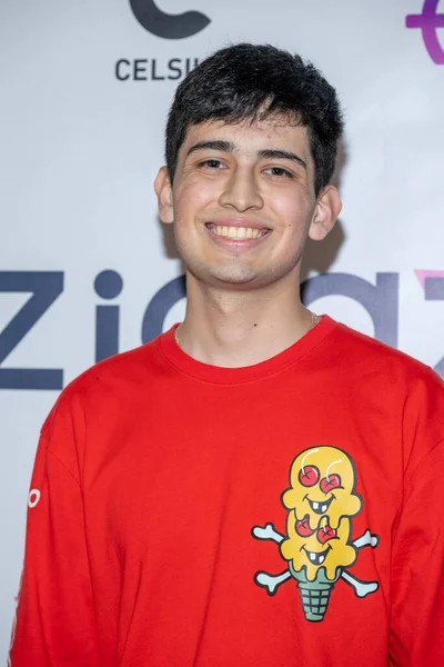 Actor Austin Sowell Attends Kick Summer Party Presented Zigazoo Teen — Stock Photo, Image