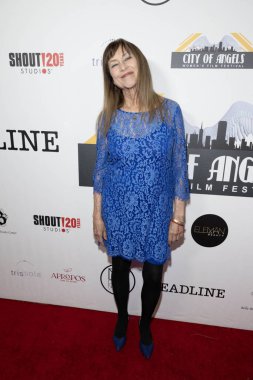 Senarist Diane Lansing, Bella Blanca Olay Merkezi, Los Angeles, CA 12 Kasım 2023 'te düzenlenen 2023 Melekler Şehri Kadın Film Festivali Ödül Töreni' ne katıldı.