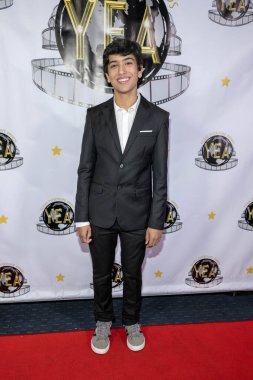 Aktör Jude Michael Rodricks, Şaban Tiyatrosu, Los Angeles 'ta düzenlenen 8. Geleneksel Genç Eğlence Ödülleri' ne katıldı.