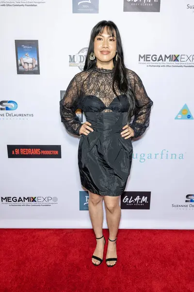 stock image Actress/Writer/Journalist Lynne Pham attends The 2024 Annual Suzanne Delaurentiis Gala, Luncheon And Gifting Suite honoring our veterans and Celebrating The 96th Oscars at Luxe Sunset Blvd Hotel, Los Angeles, CA, March 10, 2024