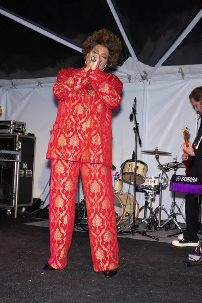 Американская Певица Актриса Мейси Грей Принимает Участие Ежегодной Церемонии Вручения — стоковое фото