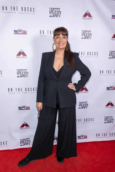 stock image Emmy winning Stylist Brenda Cooper  attends Christine Peake's 