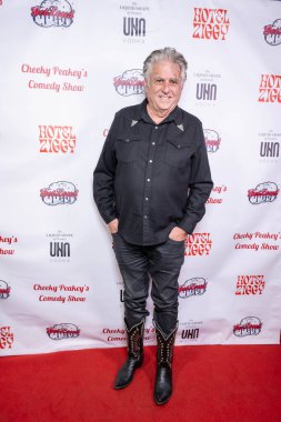 Yazar / Yapımcı Dana Blanchard, 11 Kasım 2024 'te Hotel Ziggy, Los Angeles' ta Christine Peake 'in Gaziler Günü Komedi Gösterisine katıldı.