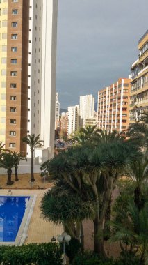 Benidorm İspanya 'daki gökdelenlerin arka planında palmiye ağaçları
